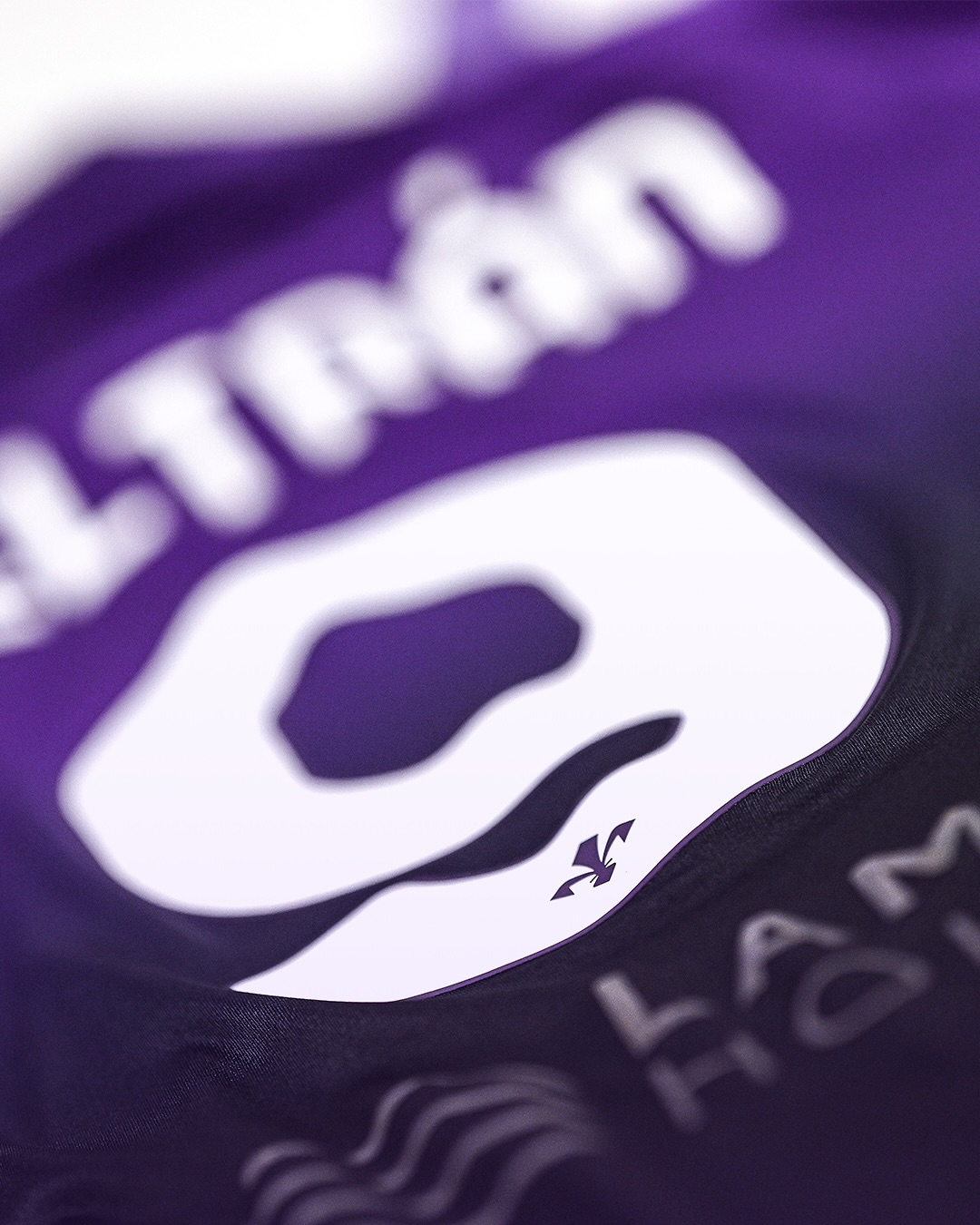 Detail of Fiorentina 2024-2025 special kit