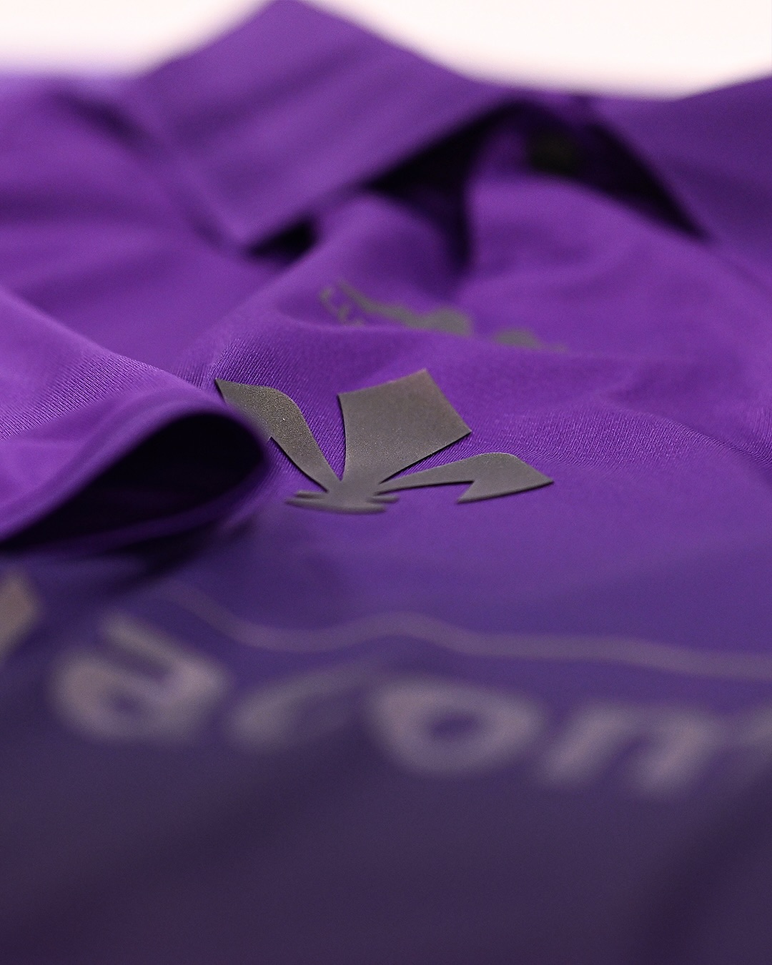 Detail of Fiorentina 2024-2025 special kit