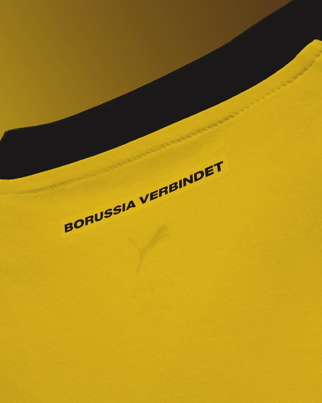 Borussia Dortmund 2025-2026 Home Kit